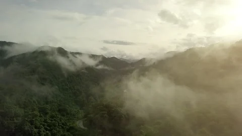 Aerial View of Lush Green Rain Forest Mountain Vídeos de archivo 248340261