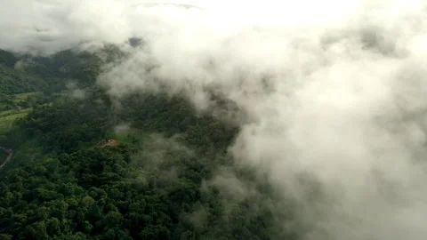 Aerial View of Lush Green Rain Forest Mountain Vídeo Stock 248340404