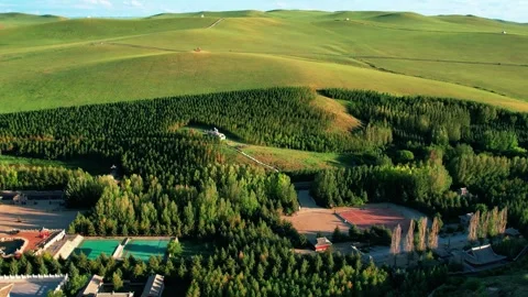 Aerial view of lush green rolling hills and forest park in Inner Mongolia Stock Footage 342328817