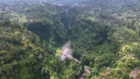 Aerial view of lush green valley with winding river Vídeos de archivo 346917853