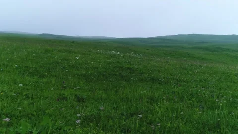 Aerial View of Lush Greenery on Mountain Slope Vidéo 344463923