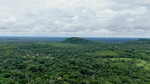 Aerial View of Lush Greenery Under Overcast Sky in Cerro Azul Stock-Footage 336561532