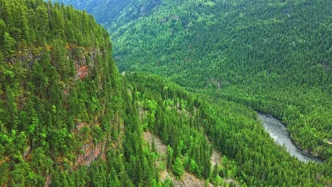 Aerial view of lush mountain forest and river in daylight canyon Stock Footage 343543165