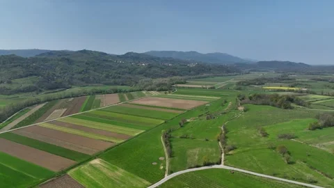 Aerial view of lush patchwork fields in the serene Vipava Valley, Slovenia Video stock 313205069