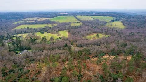 Aerial view of a lush, patchwork landscape with varying shades of green, sh.. Photos