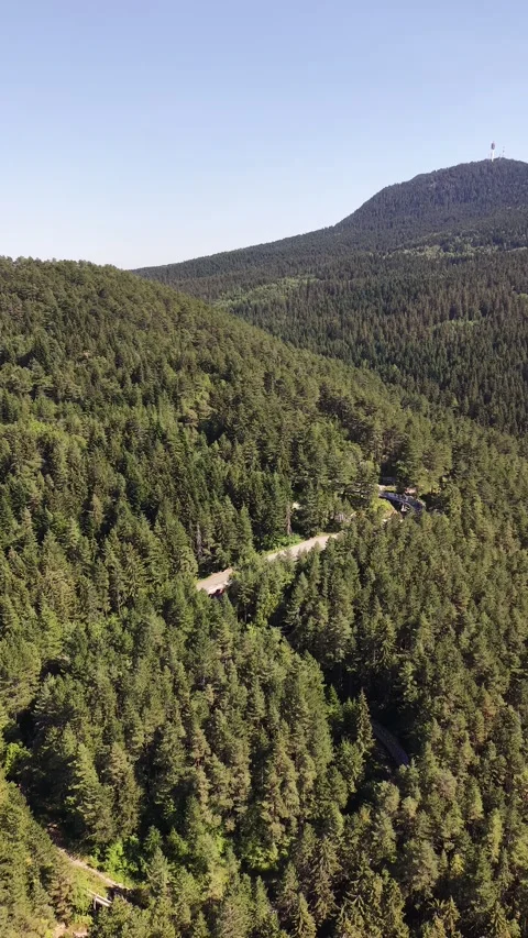 Aerial View of Lush Pine Forest Road in Mountain Landscape, Bosnia  Vídeo Stock 342717474