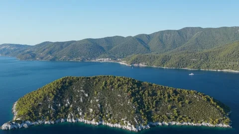 Aerial view of a lush, pine-forested islet surrounded by clear blue sea, with Stock Footage 346713480