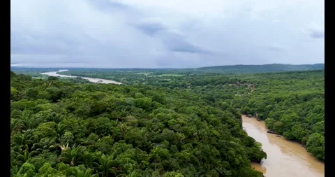 Aerial View of Lush Rainforest Surrounding the Guayabero River Video stock 336563624