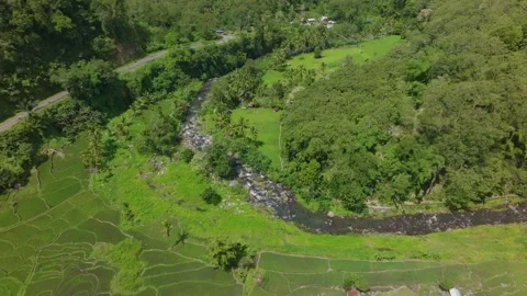 Aerial view of lush rice fields, village, river, forest, Indonesia. Stock Footage 275915349