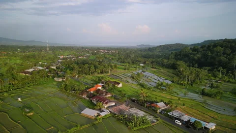Aerial View of Lush Rice Fields and Tropical Village in Bali Stock Footage 328010331