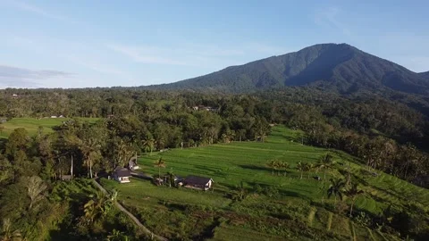Aerial View of Lush Rice Fields and Mountain Landscape in Bali Stock-Footage 333169751