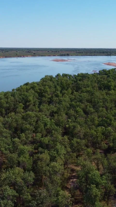 Aerial view of lush riverside forest and wide Syr Darya river with sandy islands Stock Footage 336687652