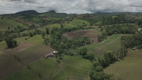 Aerial View of Lush Rolling Hills, Coconut Palms and Plowed Fields Under Mo.. Stock Footage 337390560