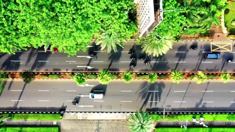 Aerial View of a Lush, Tree-Lined City Street with Sparse Traffic Stock Footage 302304868