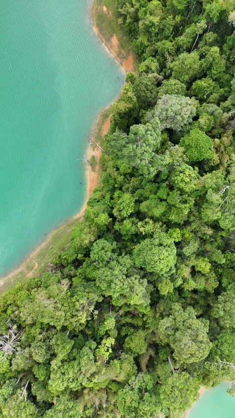 Aerial View of Lush Tropical Rainforest and Turquoise Lake in Khao Sok, Thailand Stock Footage 335964576
