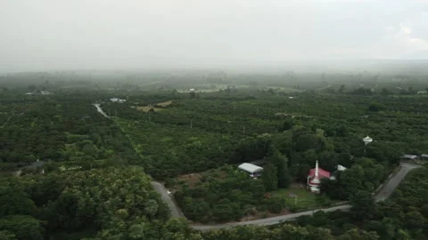 Aerial view of lush tropical trees in a rural community with mist in spring. Stock Footage 220168984