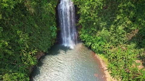 Aerial View of Lush Waterfall Cascading into a Tranquil Pool Stock Footage 301088024