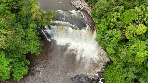 Aerial view of a lush waterfall cascading through dense green forest. Stock Footage 337991087