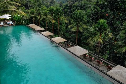 Aerial view of luxury infinity pool in tropical jungle and palm trees. Luxuri Stock Photos