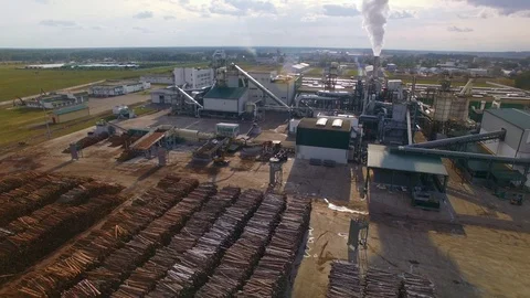 Aerial view. Machine or loader loads logs or timber on conveyor. Wood processing Stock Footage 95669203
