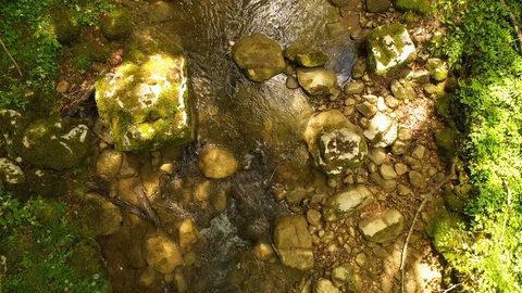 Aerial view of magic forest river Stock Footage 129565356