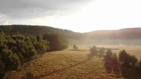 Aerial View Of Magic Mountain Forest At Sunset With Trees And Forest Path Stock Footage 137722241