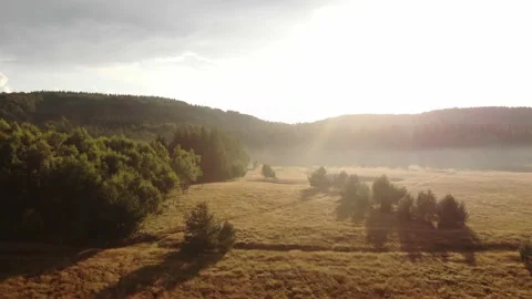 Aerial View Of Magic Mountain Forest At Sunset With Trees And Forest Path Video stock 137722350