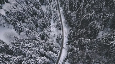 Aerial view of Magic winter forest with snowy trees and empty road in frozen Stock Footage 234146188