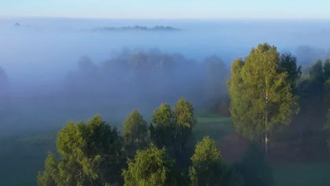 Aerial View Magical Epic Nature Landscape. Amazing Aerial View of Foggy Green Video stock 213909203