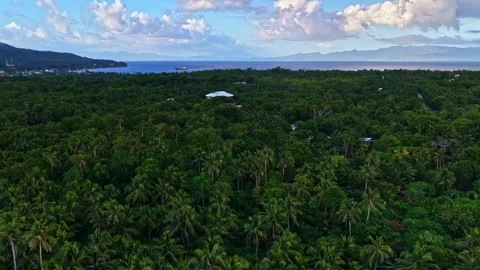 Aerial view of Mahaba Beach and tropical forest, Philippines. Stock Footage 344987671