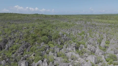 Aerial View Makatea Tropical Island Tuamotu Polynesia Tahiti Video stock 303450737