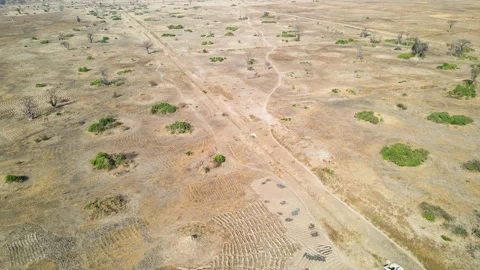 Aerial view of Malawi Baobab trees, Mangochi, Africa Stock Footage 219546893