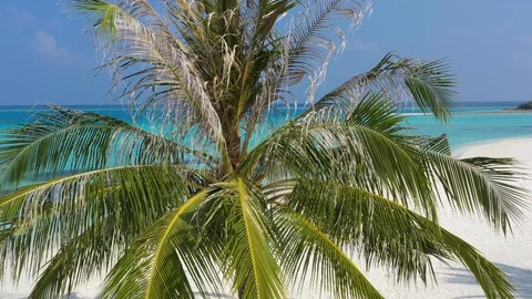 Aerial view of Maldives Stock Footage 102425719