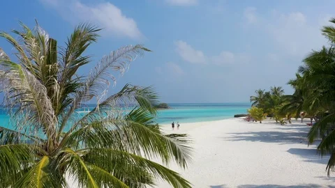 Aerial view of Maldives Stock Footage 102425833