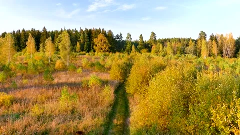 Aerial view of a male tourist with backpack exploring autumn woods edge Stockbeeldmateriaal 285356953