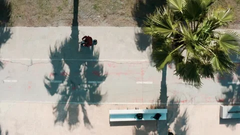 Aerial view of man driving e-scooter among tropical summer palm trees with Stock Footage 272494548