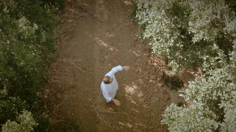 Aerial view of a man in an orange trees field. Seville, Spain. Stock Footage 40647030