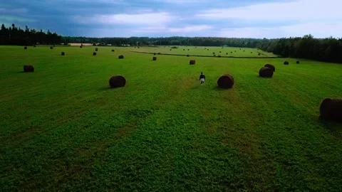 Aerial view of man running down haystack field Stock Footage 220515116