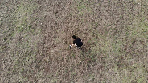 Aerial view man running on ground with drone followed Stock Footage 91868859