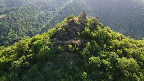 Aerial view of a man running on the hight hill path with the forest around Stock Footage 229878643