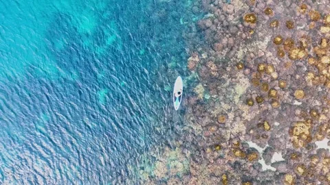 Aerial view of a man stand up paddle boarding in the caribbean blue sea Stock Footage 276159544