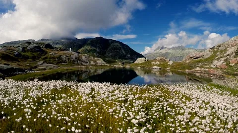 Aerial view of man standing in front of mountain lake and raising arms Stock Footage 64804999