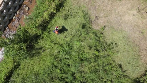 Aerial View of Man Using a Brush Cutter in a Fruit Orchard Stock Footage 344848813