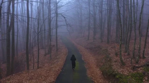 Aerial view of a man walking alone on a road in the forest and morning fog 動画素材 267271259