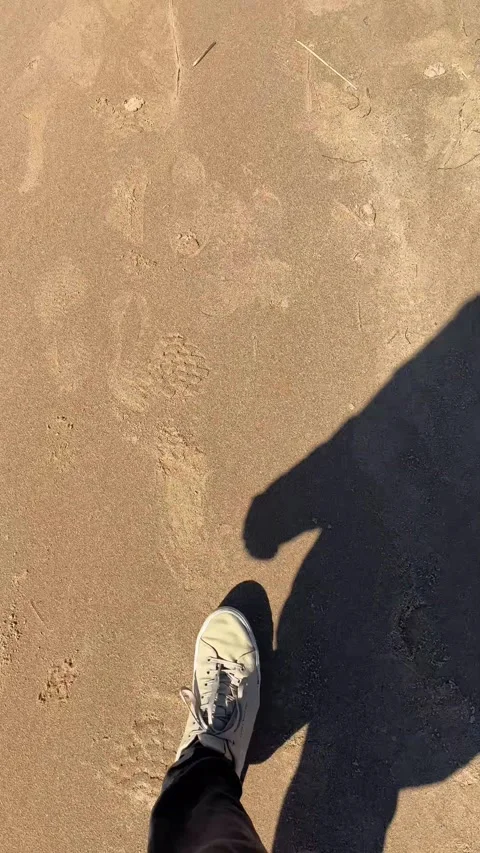 Aerial View of Man Walking Alone on Sandy Beach Shoreline Stock-Footage 334367455