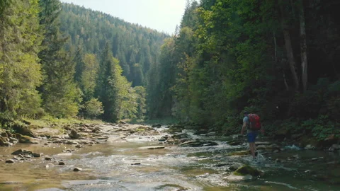 Aerial view of a man walking along a river in a mountain canyon. Stock Footage 265560847