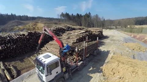 Aerial view: Man is working with big logs Stock Footage 49433719