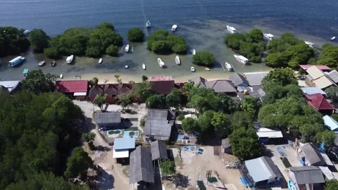 Aerial view of the mangrove forest on Junggut Batu, Nusa Lembongan. There are Stock Footage 200068463