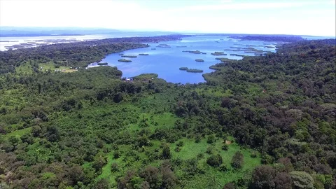 Aerial view of the mangroves of Quebrada in Panama Stock Footage 90522962