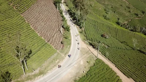 Aerial view of many people started running on the mountain road of Cau Dat fa Stock Footage 131071904